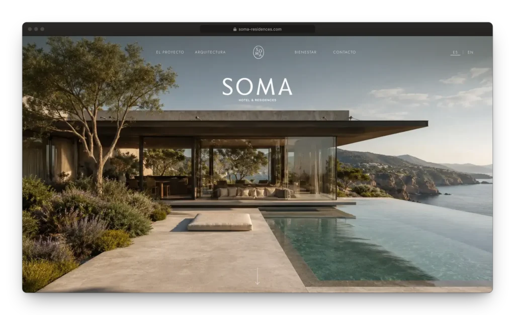 Desarrollo web SOMA