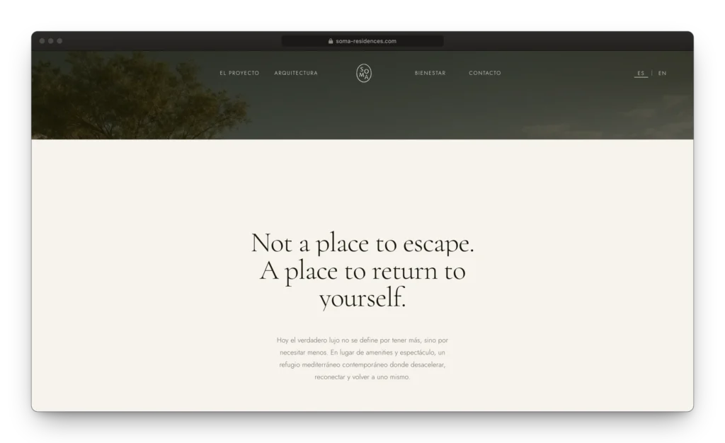 Desarrollo web SOMA