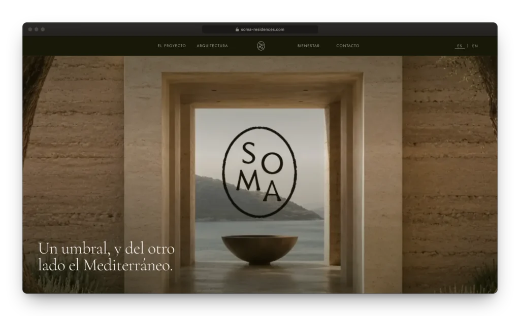 Desarrollo web SOMA